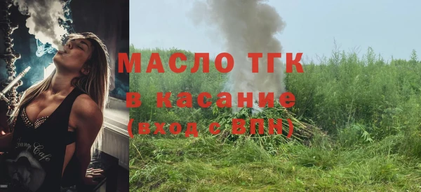 молекула духа Арсеньев