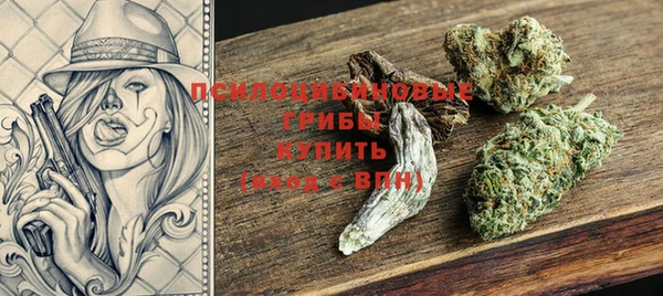 молекула духа Арсеньев