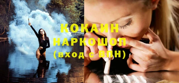 молекула духа Арсеньев