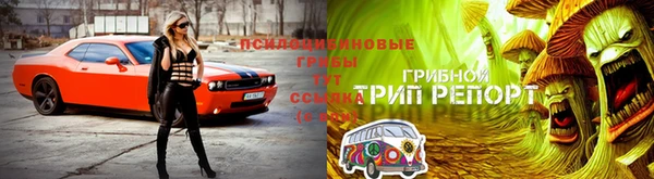 молекула духа Арсеньев